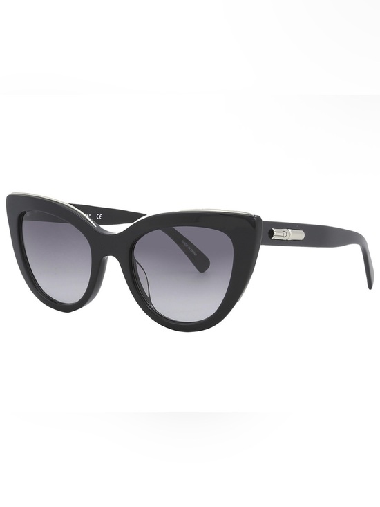 Longchamp Accessories - AUTHENTIC Longchamp Full Inclusion Sunglasses